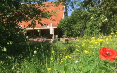 Op de Brusse: restaurant, kookstudio en B&B