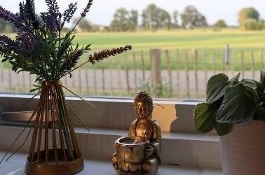 B&B Groen Weidezicht