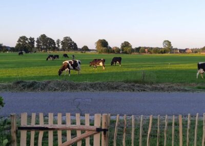 Groen-weidezicht-uitzicht