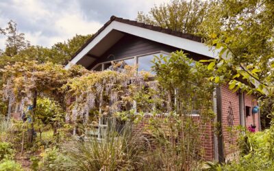 Suzie’s Cottage